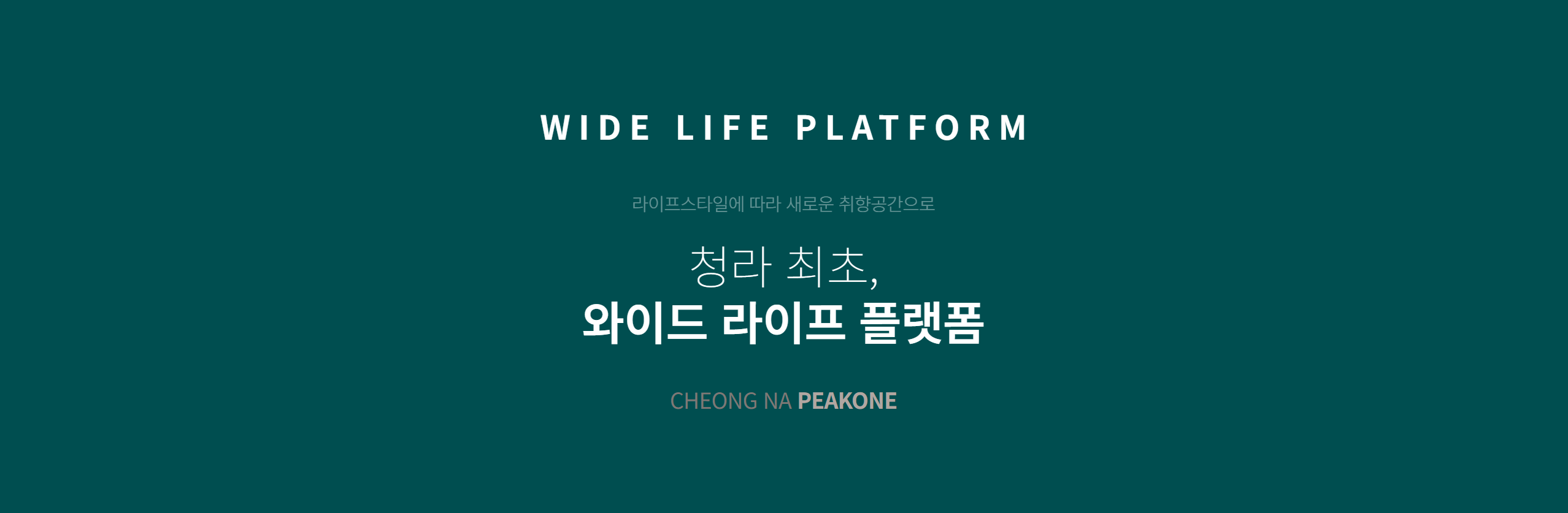청라 피크원 푸르지오 와이드 라이프 배너